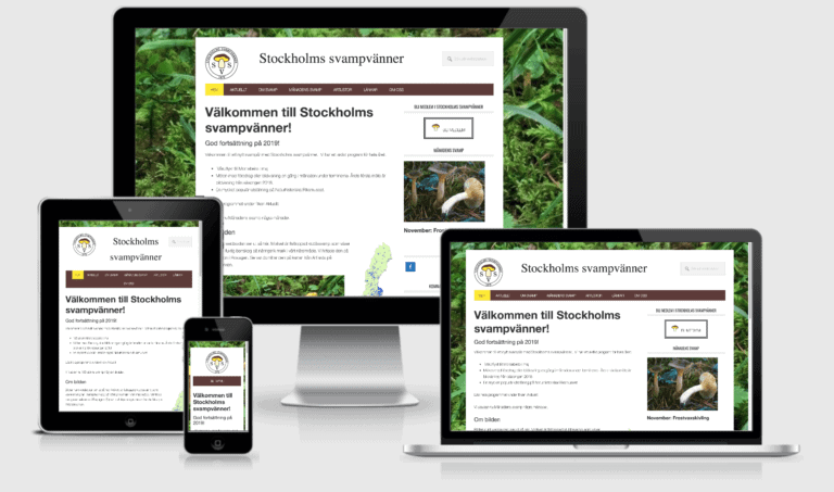 Stockholms svampvänner